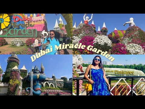 Dubai’s Floral Wonderland : Exploring Dubai Miracle Garden