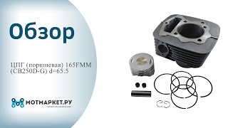 Обзор поршневой 165FMM CB250D G d=65 5