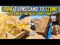 Urine Turns Sand Into Stone | No Cement, No Heat, No Cost