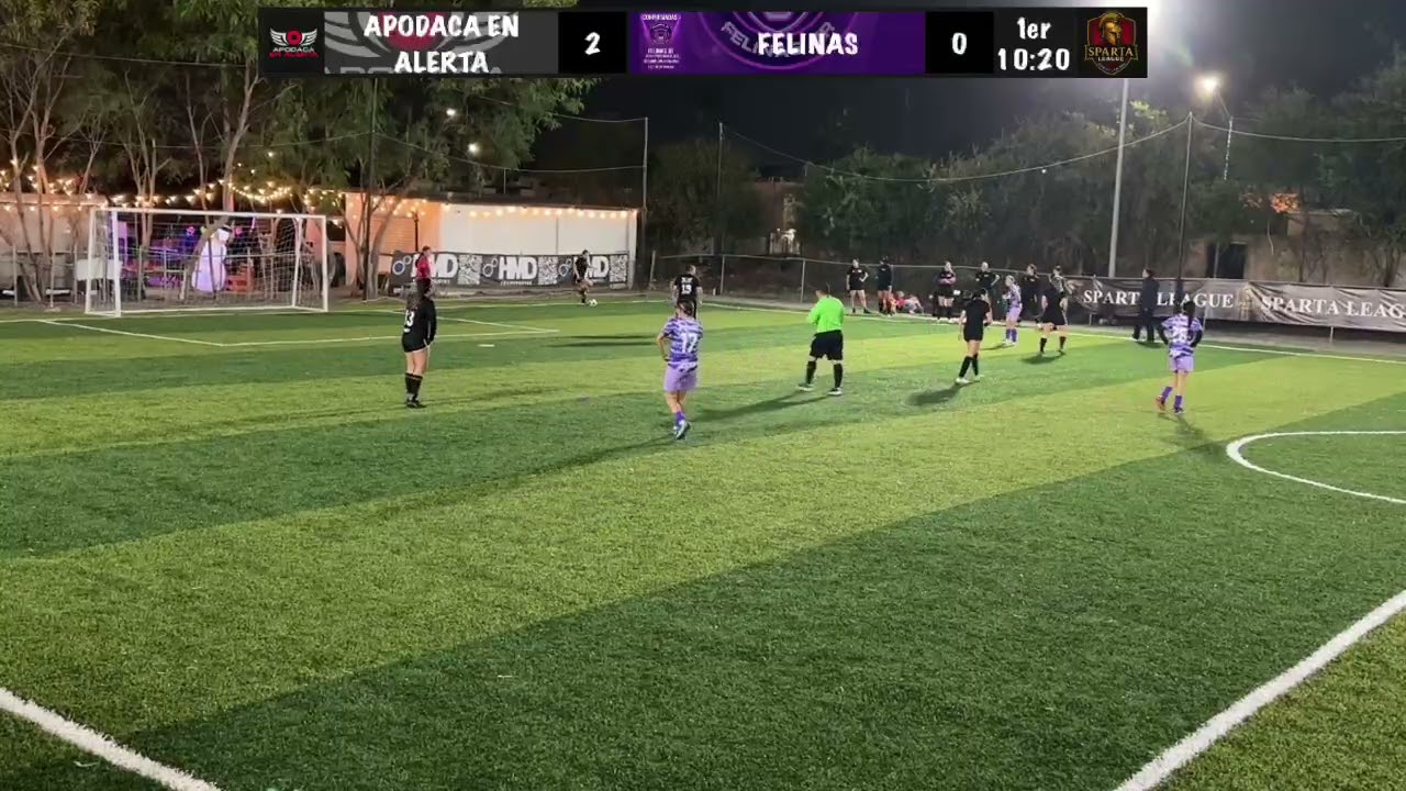 AEA VS FELINAS partido #2 copa Sparta 20k