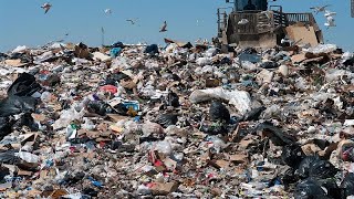 What did we learn from World Cleanup Day this year?