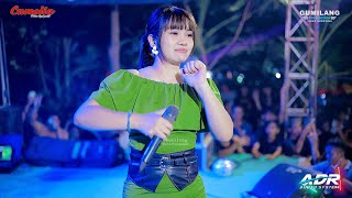 CAMELIA MUSIC - MAS JOKO - PUPUT TIFISYA - KHITANAN DEVANDRA - SROBYONG MLONGGO JEPARA