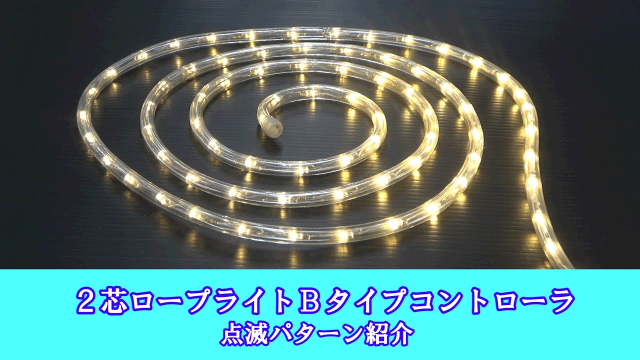QUALISS クオリス クリスマス イルミネーション 2芯 丸型 防滴