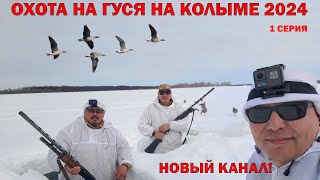 :      2024. 1 . GOOSE HUNTING IN SIBERIA 2024. YAKUTIA