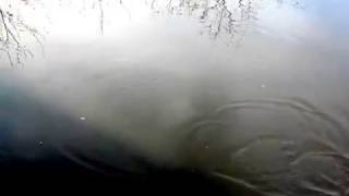 Okina60ルアーアクションS字系ペンシル弧月舞KOGETUMAI