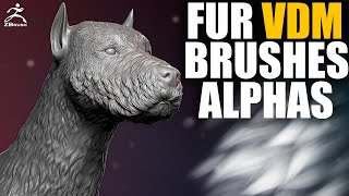 Fur VDM Brush for ZBrush. Sculpting fur and hair in ZBrush.