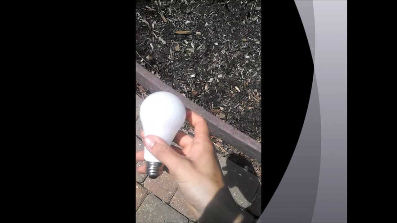 LED Bulbs thrown off the Roof One Survivor YouTube