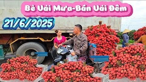 Bẻ Vải Mưa - Bán Vải Đêm l Núi Đồi Lục Ngạn