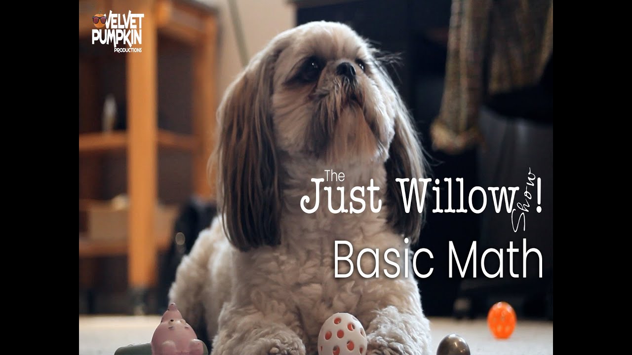 Basic math - YouTube