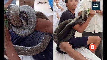 Sự thật sau bức ảnh người đàn ông cấp cứu cùng rắn hổ