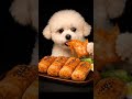 One Bite of Spicy Bibim Noodle Wrap! Mochi’s Flavor Adventure🔥쫄깃한 비빔면쌈 한 입! 모찌의 신세계 먹방🐾 #cute #강아지먹방