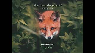 What does the fox say ? - Ylvis [Lyrics + Vietsub]