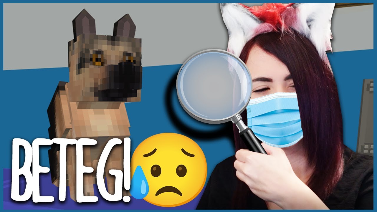 Állatorvos lettem! 👩‍⚕️🏥