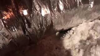 Mice Tunneling Through Homeowners Attic in Point Pleasant Beach, NJ