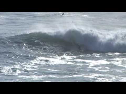 trelele.wmv