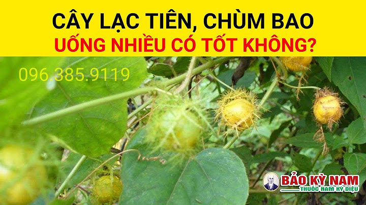 Tác dụng cây lạc tiên như thế nào năm 2024