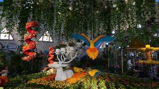 Парк Butterfly Garden – мир бабочек в Дубае
