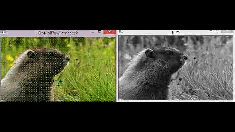 dense optical flow test in opencv 3.0 rc1