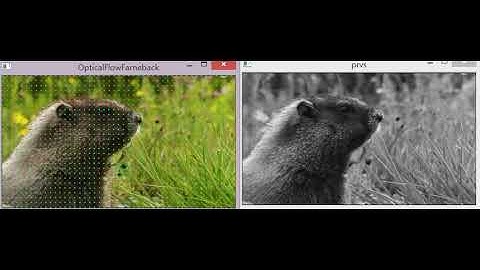 dense optical flow test in opencv 3.0 rc1