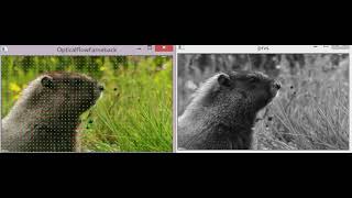 dense optical flow test in opencv 3.0 rc1