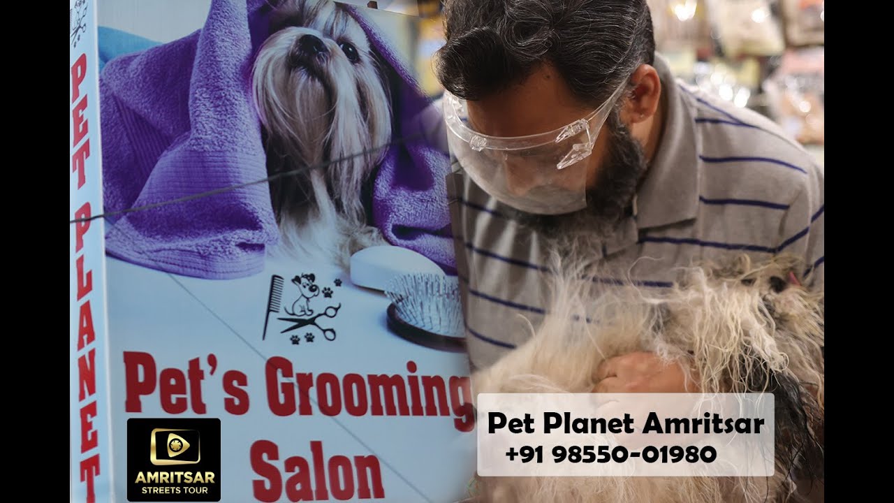 Pets Grooming Salon Pet Amritsar Amritsar Streets Tour