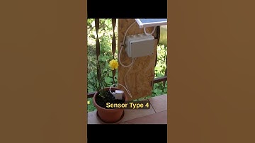 Soil moisture sensor #shorts