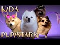 K/DA - POP/STARS 강아지 리믹스 ( dog cover )