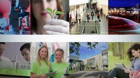 Lean Sigma Quality: Lecture 07 - Assignments