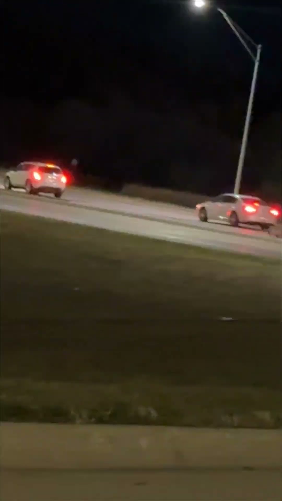 Deer Runs Into Car on Highway and Dashes Away