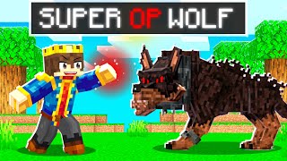 Minecraft But You Can Craft SUPER OP PETS !!