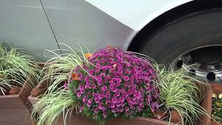 IAS 2025   Coach Scrapes Planters