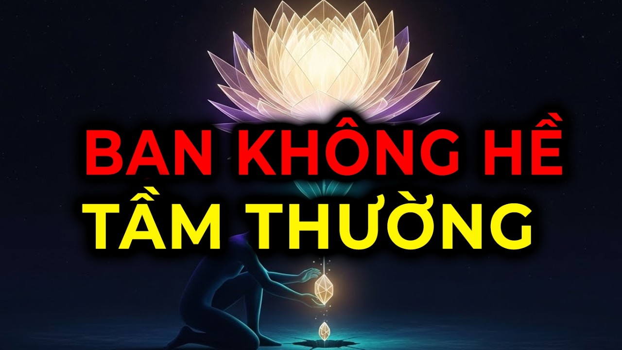 Người được chọn: Liệu Bạn Có Gì Đặc Biệt Không?