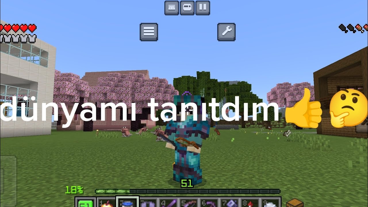 Dünyamı tanıtdım sizce iyimi 🤔🤔👍👍