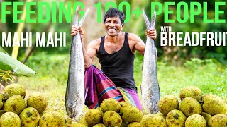 Feeding 100+ People | Mahi Mahi Fish With Breadfruit Curry Recipe Cooking  In Village