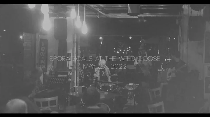 Geoff Cleveland and the Sporadicals at the Wild Go...