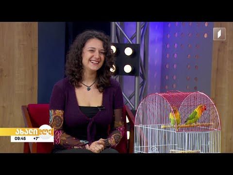 #ახალიდღე ანი ჯობავას რუბრიკა „აკის პარკი“ - როგორ მოვუაროთ თუთიყუშებს