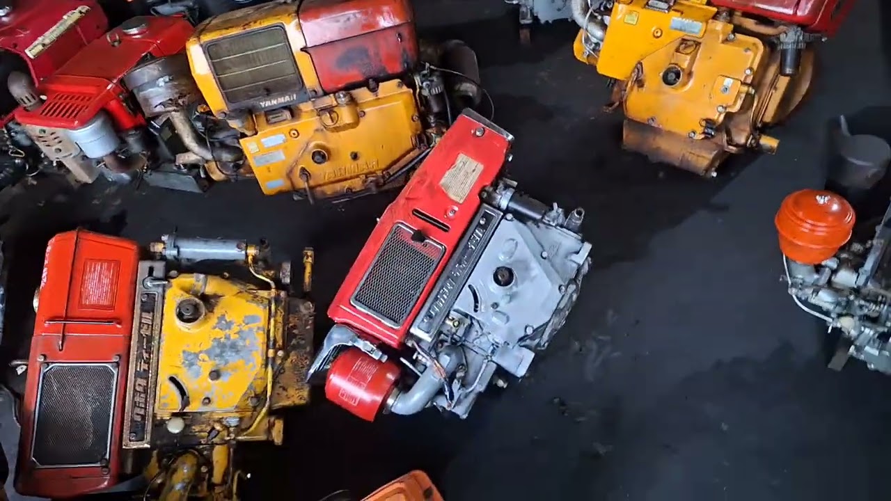 Hàng về , khũng long, hàng lớn hfp , ae can lh 0985927776 ,₫/c 12 nguyễn đinh chiễu p4 tp soc trăng