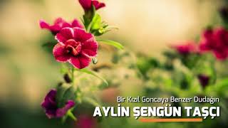 Aylin Şengün Taşçı Bir Kızıl Goncaya Benzer Dudağın