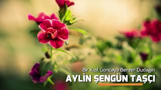 aylin şengün taşçı | bir kızıl goncaya benzer dudağın