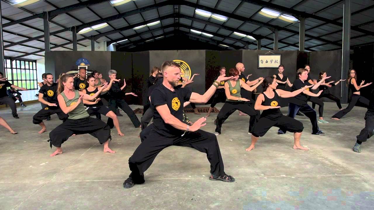 Swimming Dragon Taiji online course