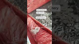jigger machine how to separator tungsten, tin, gold, manganese? #jigging #machine #mining #jycrusher