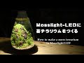 LED照明つき容器・Mosslight-LED（モスライト）を使って苔テラリウムをつくる｜How to make a moss terrarium in a "Mosslight-LED" #12