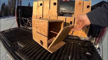 New Weasel Boxes   ..!!