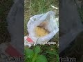 laki-laki dengan hobi-nya #mancing #mancingliar #mancingdisungai