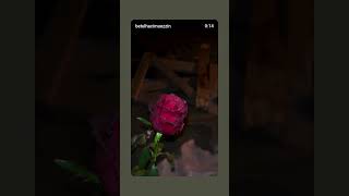 İnci̇ Boncuk Olmuş Yürek Kafesi̇... Resimi