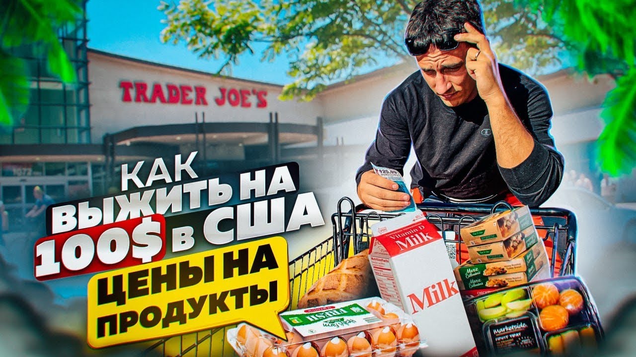 Как прожить в машине