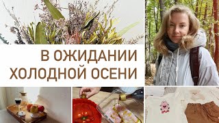 видео: Будни мамы🧣☔️☕️ Покупки для комфортной осени и для дома, о планировании меню и уютный вечер на кухне картинка: Будни мамы🧣☔️☕️ Покупки для комфортной осени и для дома, о планировании меню и уютный вечер на кухне