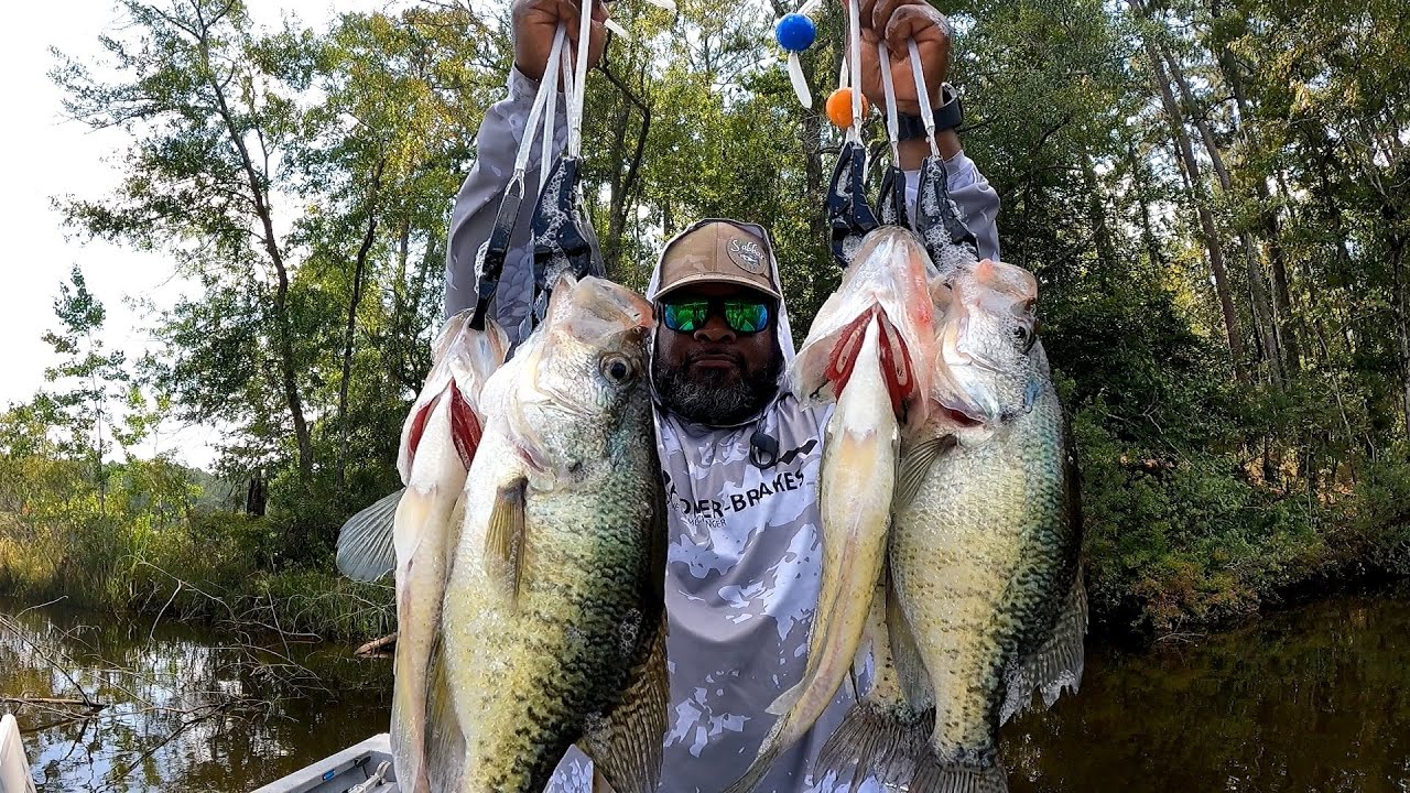 Early September Crappie Fishing "Amazing Bite"