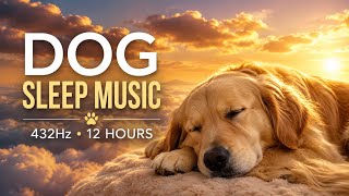 12 Hour Dog Sleep Music 🐶💤 Gentle 432Hz Ambience for Deep Sleep