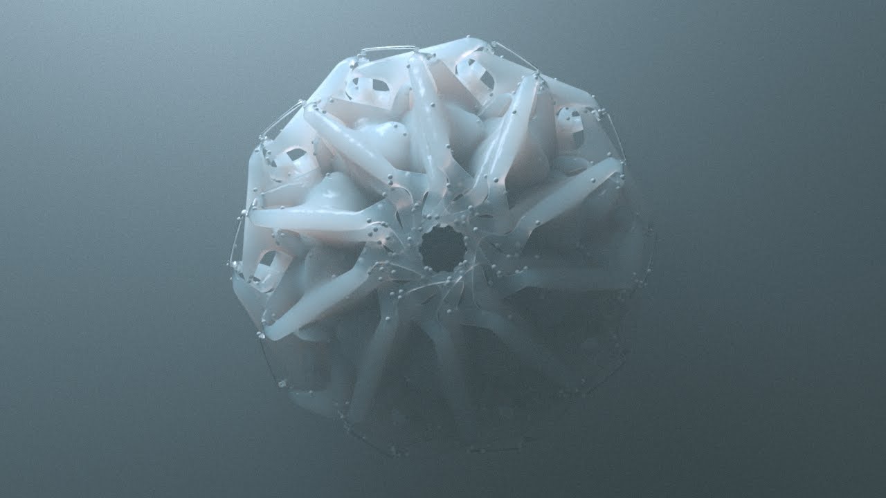 LILY OF THE (SILICON) VALLEY